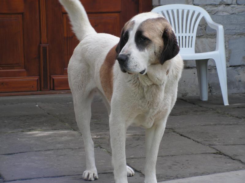 K800_PICT0163.JPG