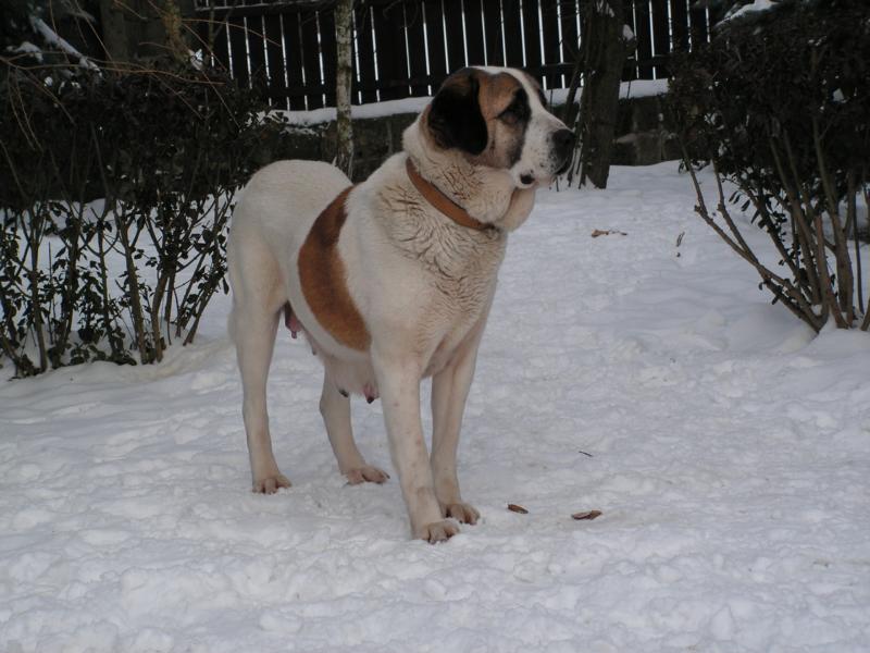 K800_PICT0259.JPG