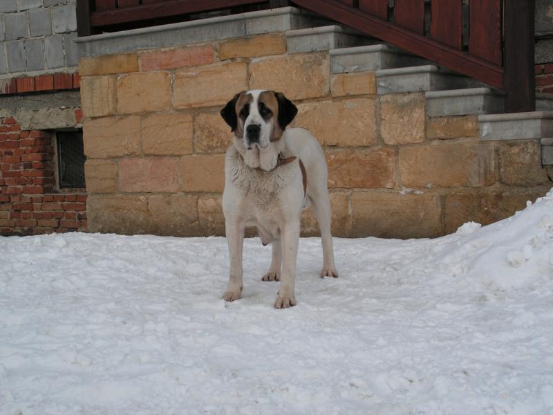 K800_PICT0265.JPG