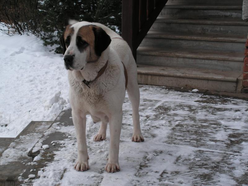 K800_PICT0286.JPG
