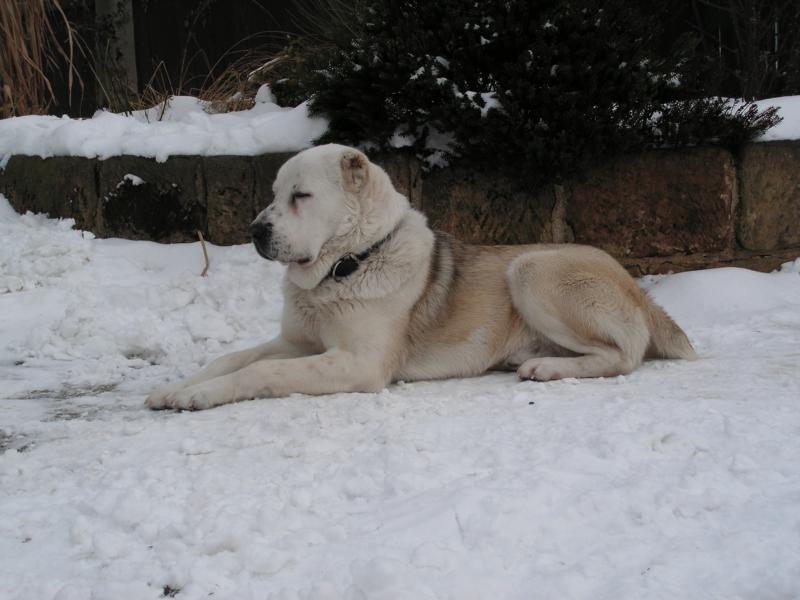 K800_PICT0245.JPG