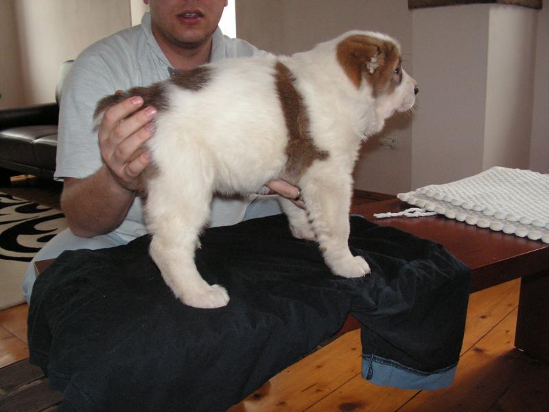 K800_PICT0354.JPG