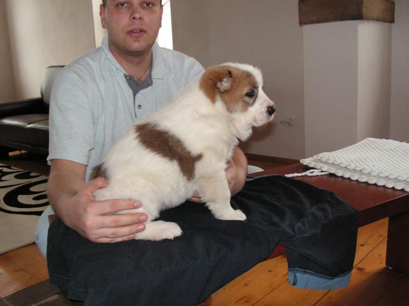 K800_PICT0355.JPG