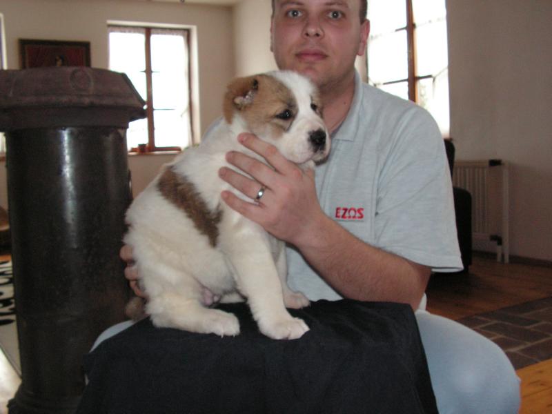 K800_PICT0350.JPG