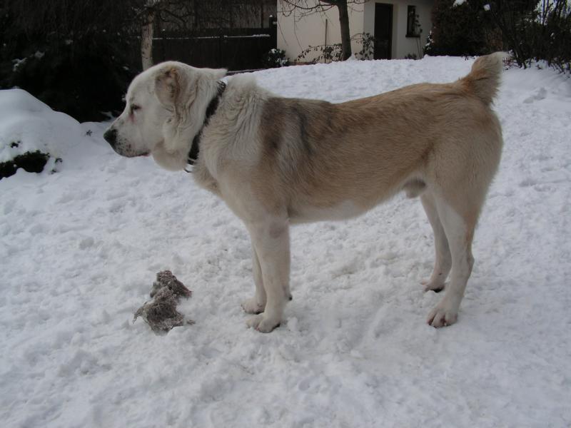 K800_PICT0292.JPG