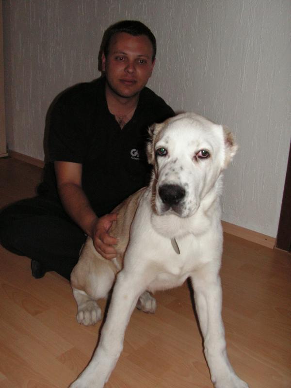 K800_PICT0019.JPG