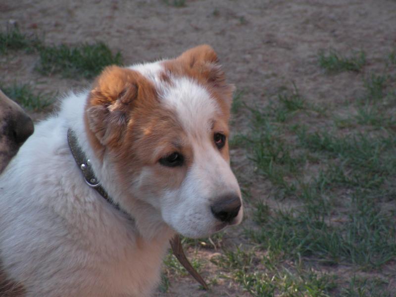 K800_PICT0382.JPG