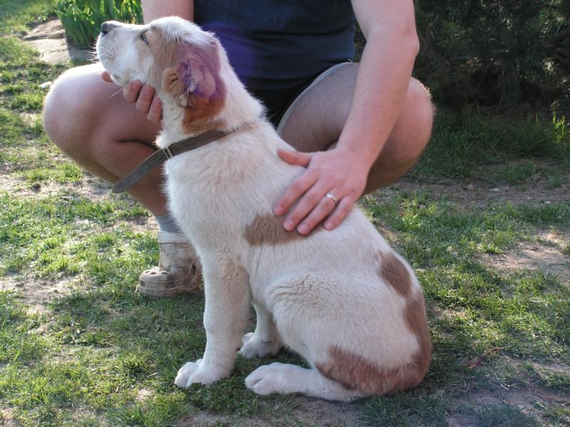 K800_PICT0383.JPG