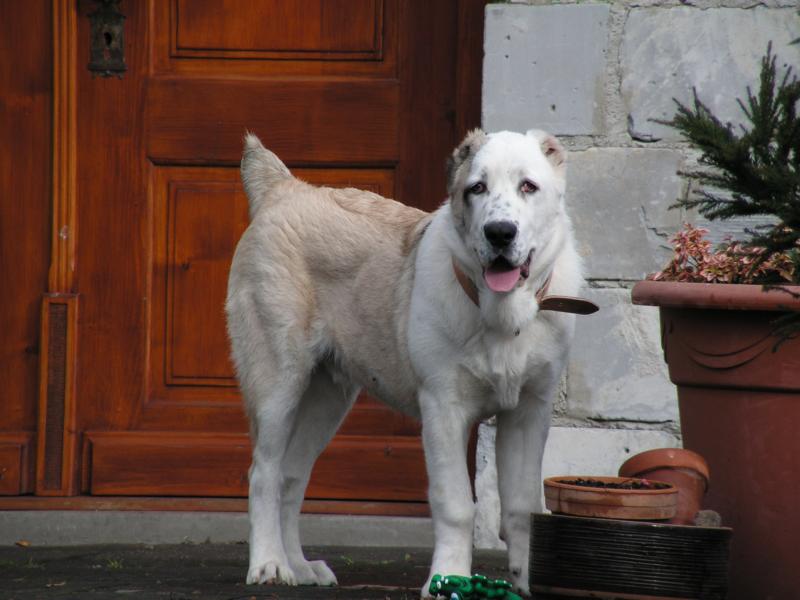K800_PICT0049.JPG