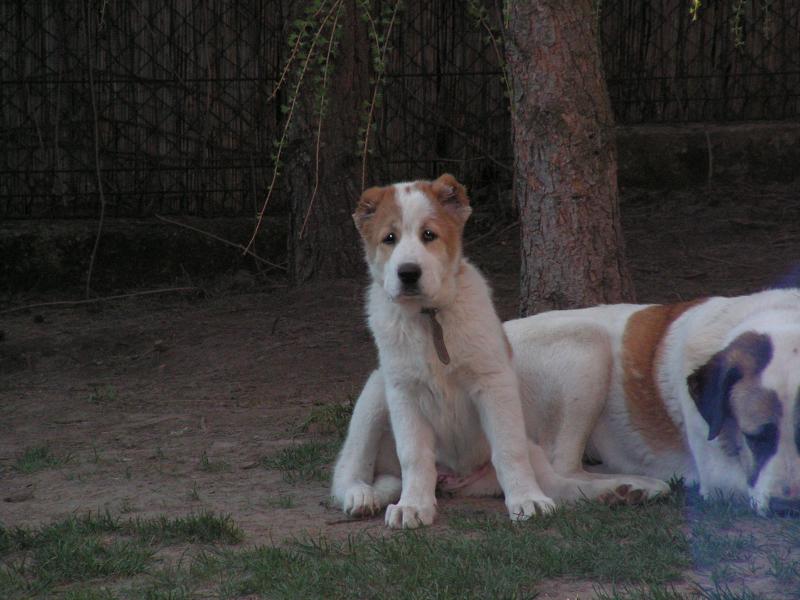 K800_PICT0398.JPG