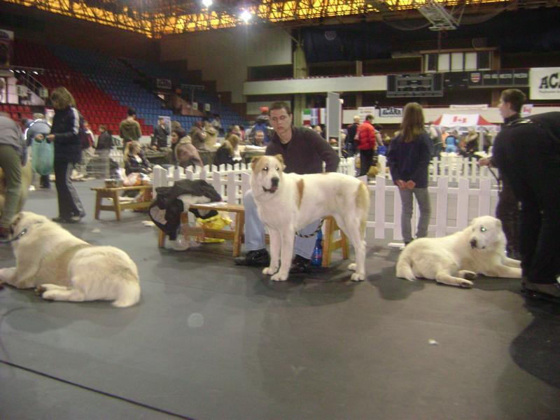 Ajura_Prešov2010