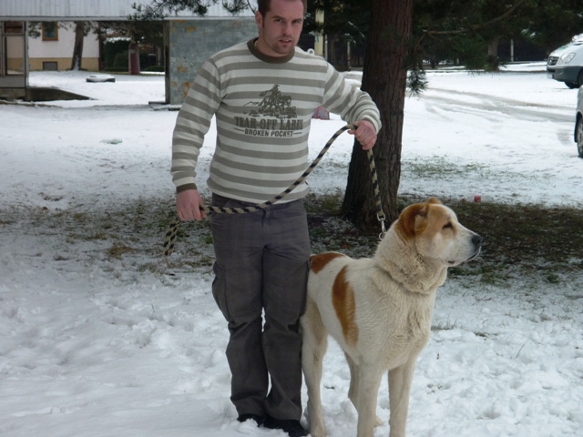 Ajura_Prešov