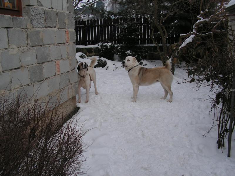 K800_PICT0280.JPG